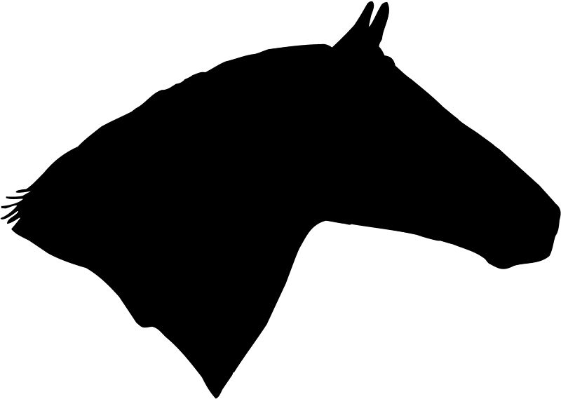 800x569 Horse Head Silhouette