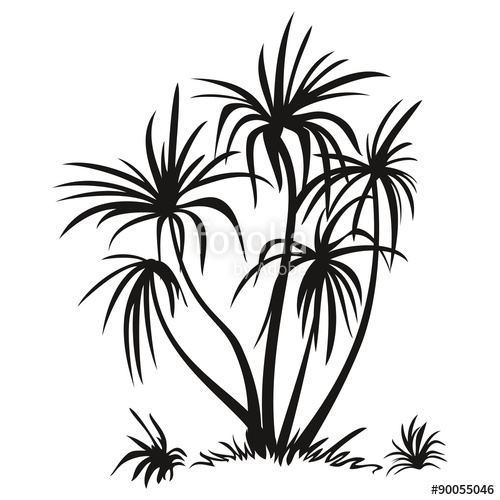 500x500 Palm Trees And Grass Silhouettes Stock Image And Royalty Free