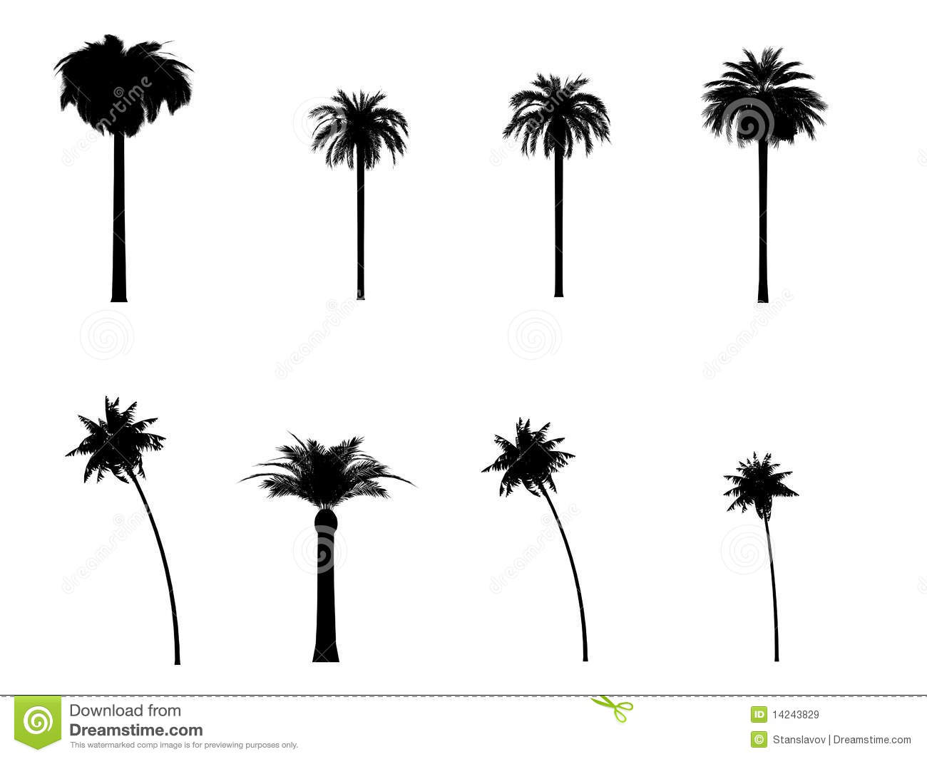 1300x1065 Palm Tree La Clipart