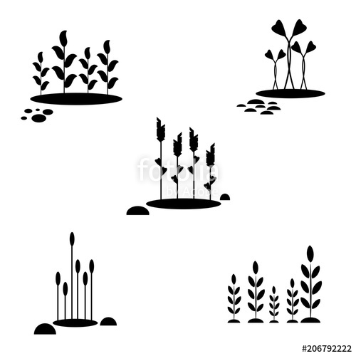 500x500 Seamless Reeds Silhouette Pattern Stock Photo And Royalty Free