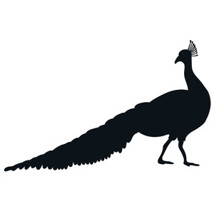 300x300 Silhouette Design Store