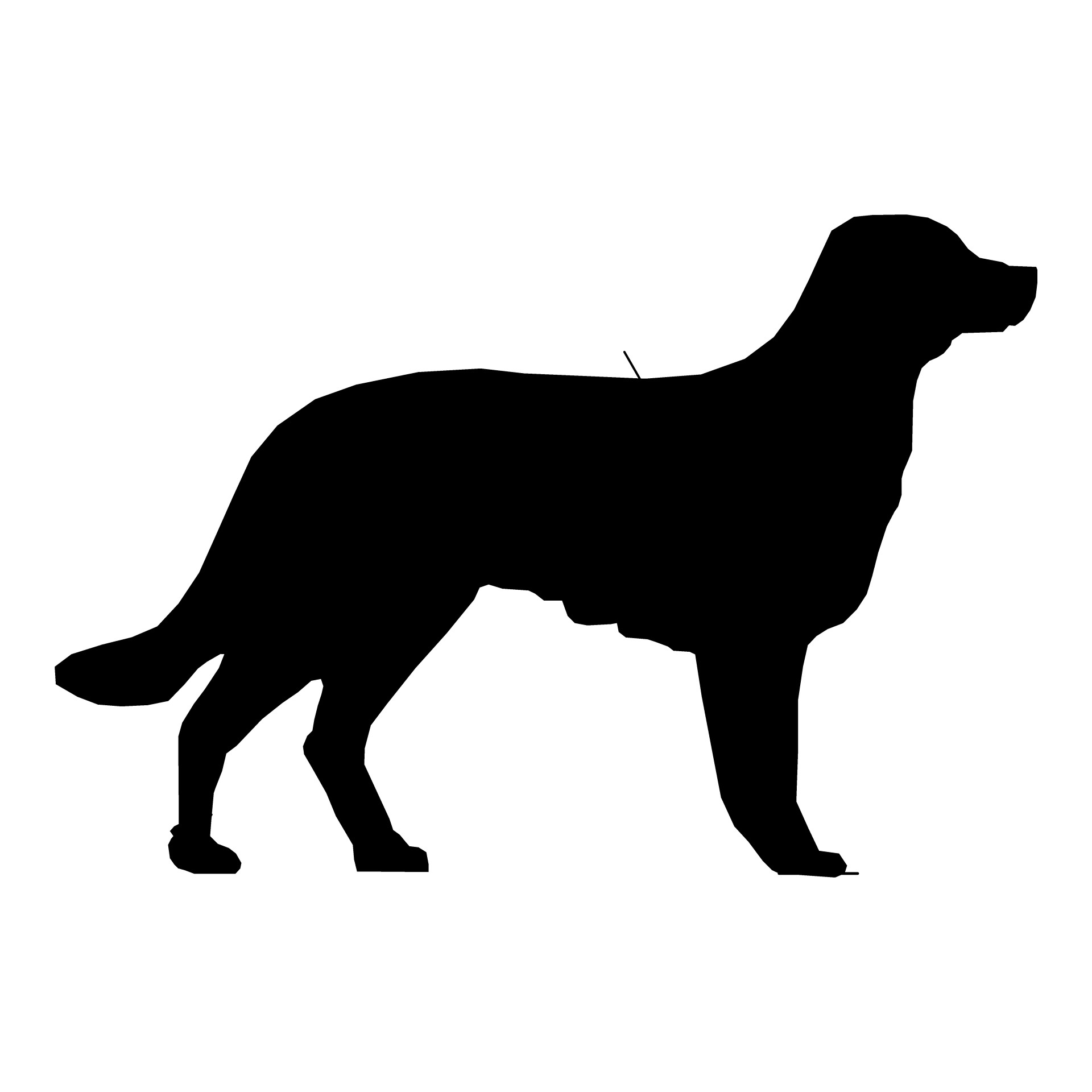 1920x1920 Dog Silhouette Pics