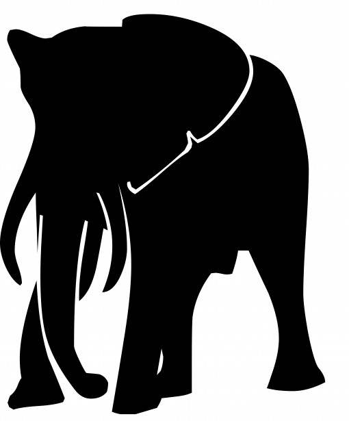 510x615 Elephant Silhouette Free Stock Photo