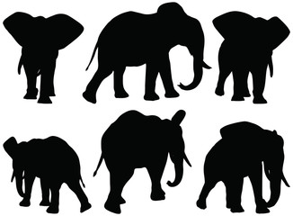 326x240 Elephant Silhouette Photos, Royalty Free Images, Graphics, Vectors