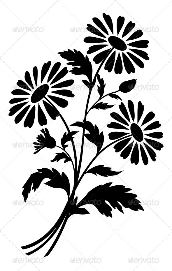 590x930 Chamomile Flowers, Silhouettes Flower Silhouette, Silhouettes