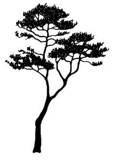 236x333 Tree Silhouettes Royalty Free Cliparts, Vectors, And Stock