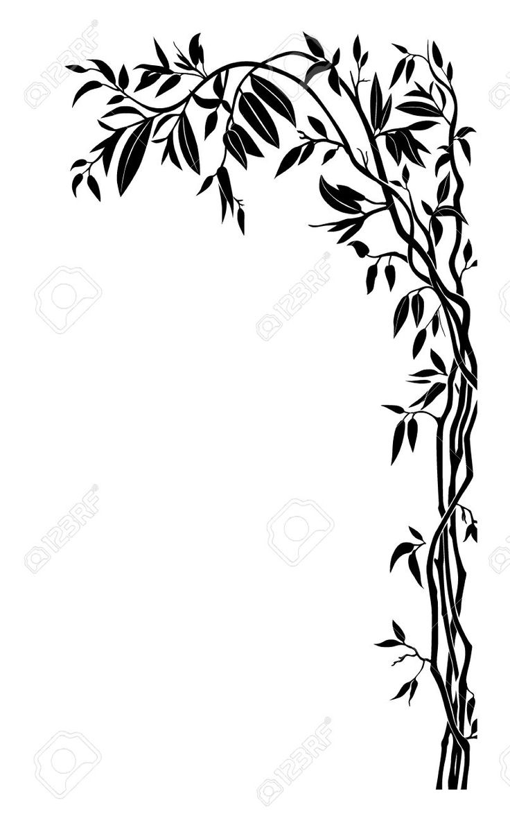 Silhouette Plant
