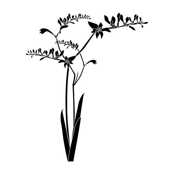 570x570 Freesia Flower Plant Graphics Svg Dxf Eps Png Cdr Ai Pdf Vector