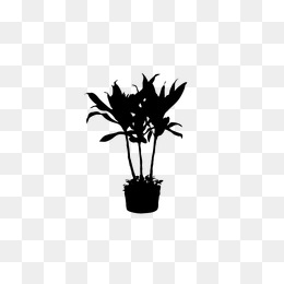 260x260 Plant Silhouette Png Images Vectors And Psd Files Free