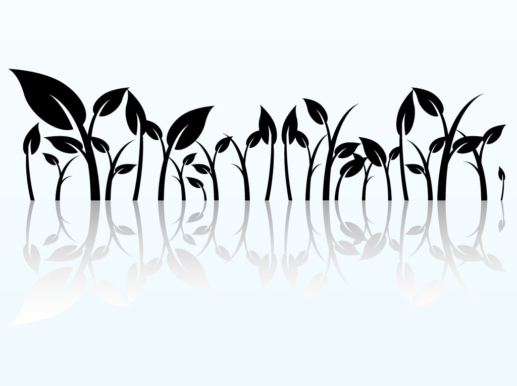 1024x765 Reflected Plant Graphics Vector Art Amp Graphics