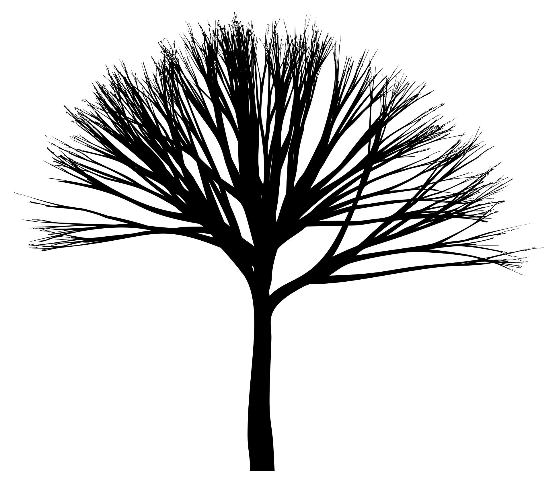 1949x1684 Skinny Tree Silhouette 3 Clipart