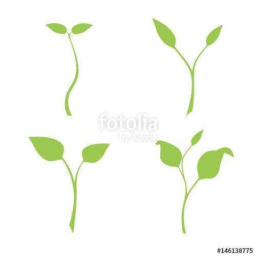 500x500 Silhouette Of Plants, Vector, Set Of Illustrations With Phases
