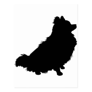 307x307 Silhouette Pomeranian Postcards Zazzle