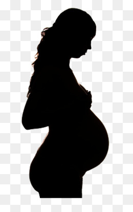 260x414 Pregnancy Png, Vectors, Psd, And Clipart For Free Download Pngtree