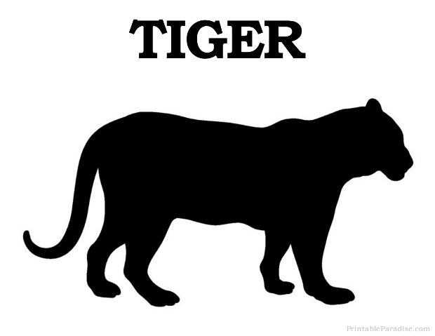 620x479 Tiiger Clipart Silhouette