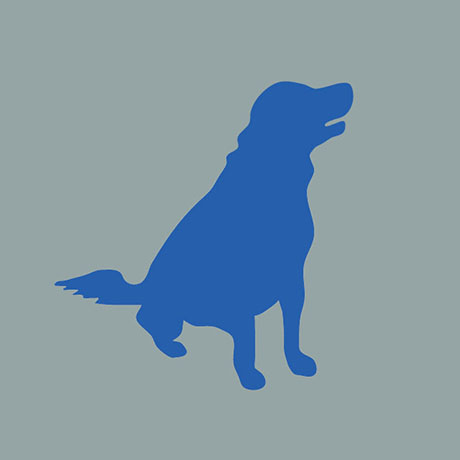 460x460 Cobalequin Contains An Oral Cobalamin Form