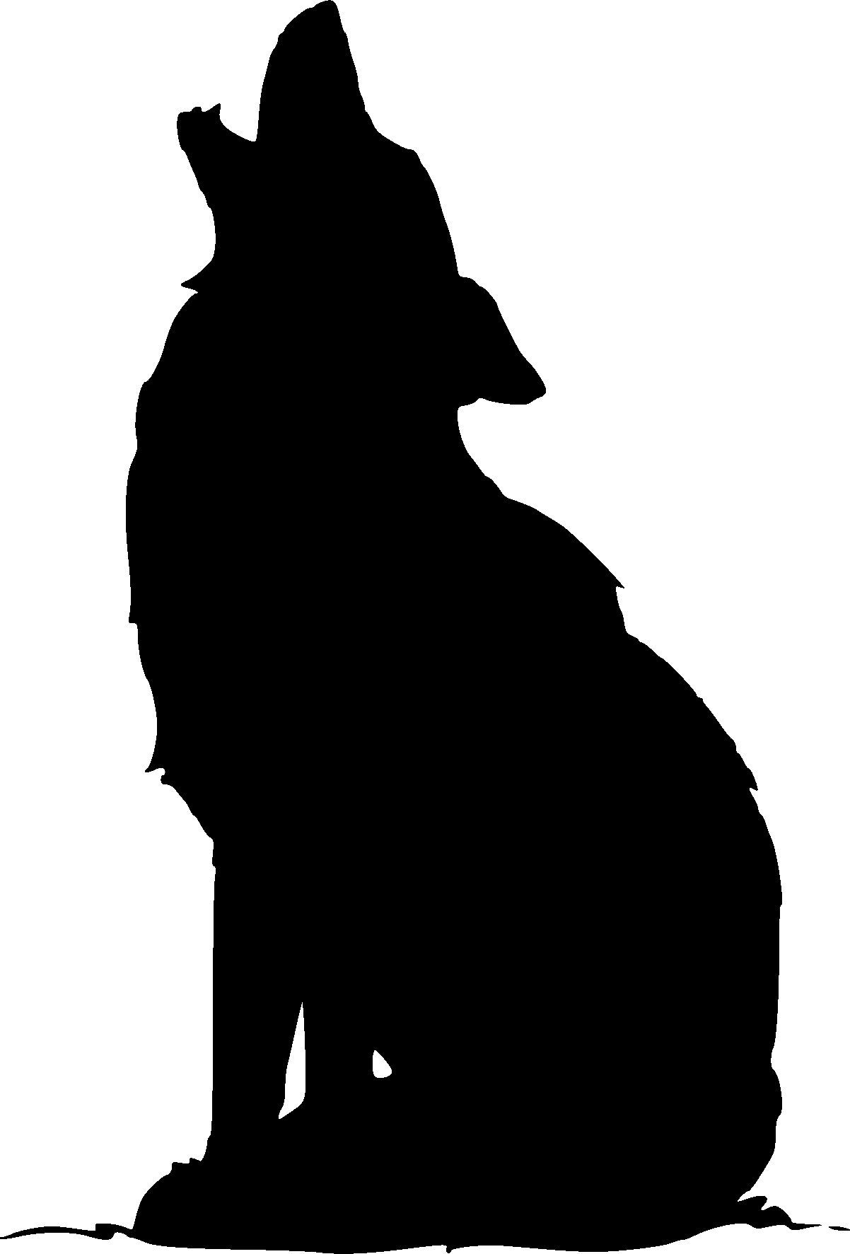 1202x1773 More Info Awesome Film Silhouette Png Update