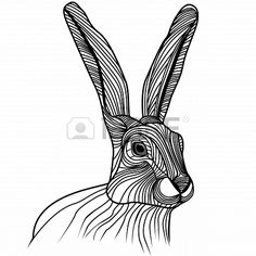 236x236 Hare Silhouette On White Background, Vector Illustration Stock