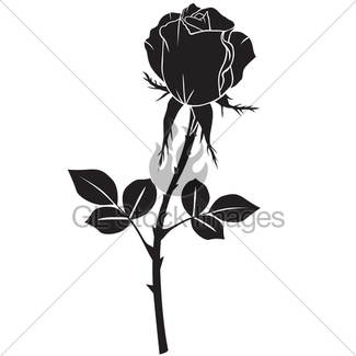 325x325 Silhouette Rose Flower Gl Stock Images