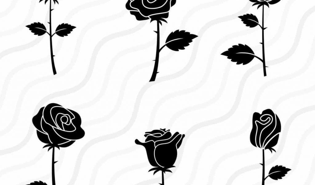 1024x600 White Pencil In Color Pictures Collections Pictures Beauty And