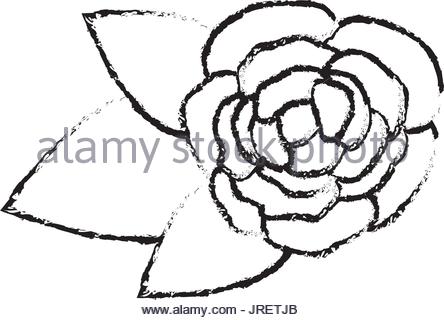444x320 Blurred Silhouette Bud Flower Floral Icon Design Vector