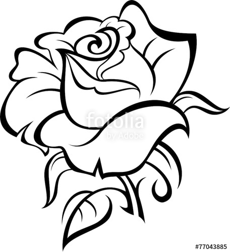 456x500 Rose Silhouette With Leaves. Vector Illustration. Stock Image