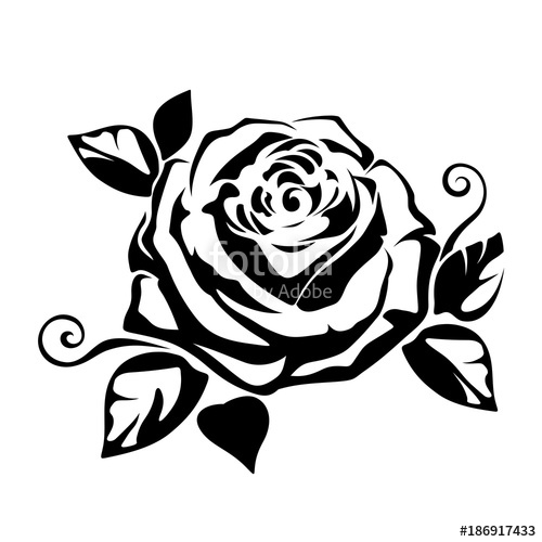 500x500 Vector Black Silhouette Of A Rose On A White Background. Stock