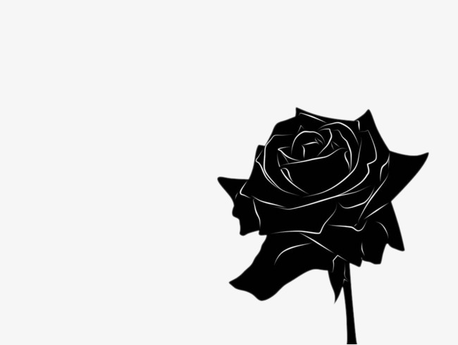 650x489 Free Black Rose Silhouette Pull Element, Black, Rose, Plant Png
