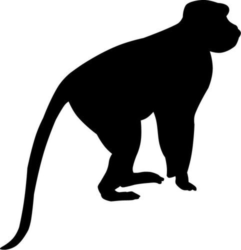 482x500 Monkey Silhouettes Monkey, Wall Decals And Silhouettes