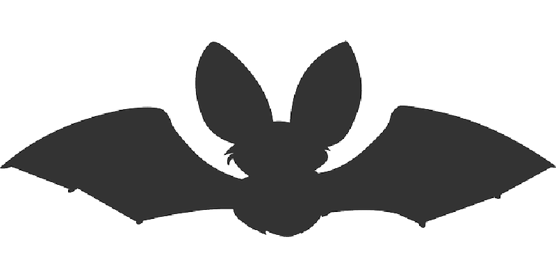 800x400 Bat, Animal, Dark, Flying, Night, Scary, Silhouette