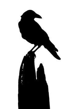 236x354 Vector Clip Art Of Bird Silhouette Drawn From Black Dots Public