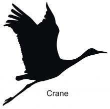 220x217 228 Best Crane Paintings Images On Birds, Japanese Art