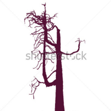 380x380 Beach Scenery Clipart