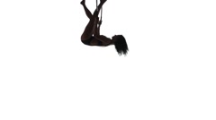240x134 Aerial Acrobat Woman On Circus Stage. Silhouette On A White