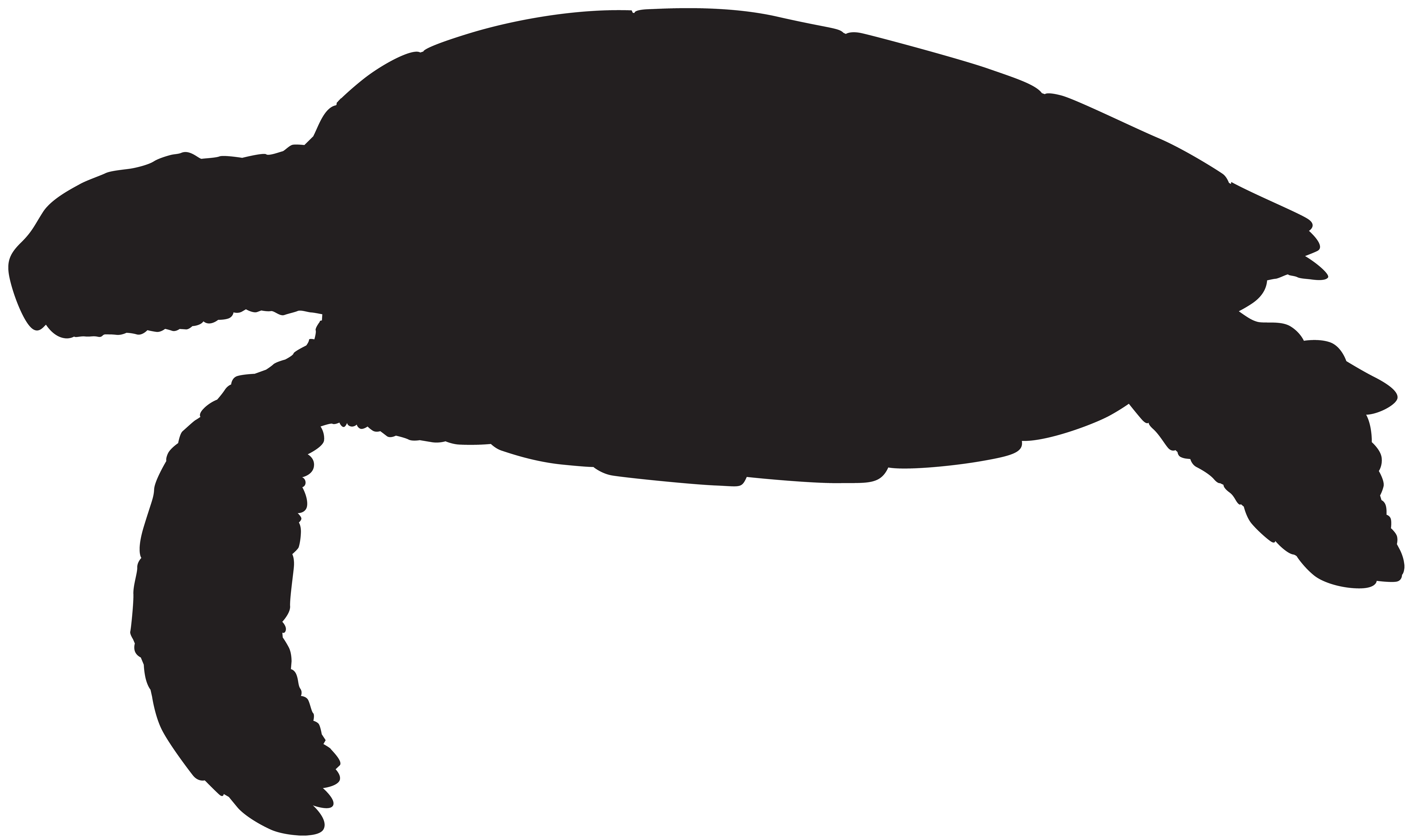 8000x4756 Sea Turtle Silhouette Png Clip Art Imageu200b Gallery Yopriceville