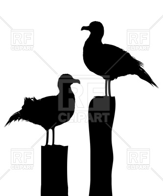 333x400 Silhouettes Of Two Sea Gulls Standing On Pier Royalty Free Vector
