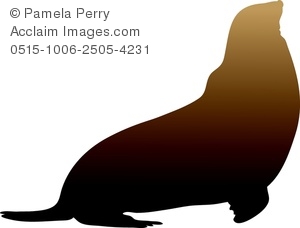 300x228 Sea Lion Silhouette Clipart Amp Stock Photography Acclaim Images