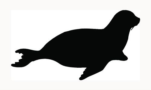 500x299 Seal Sticker Car Window Graphic Vinyl Laptop Decal Ocean Salt