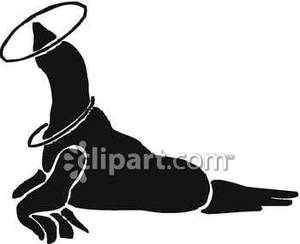 300x244 Of A Seal Playing With Hoops