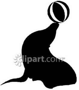 263x300 Of A Seal With A Ball