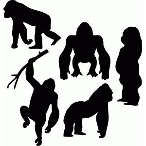 300x300 Silhouette Design Store