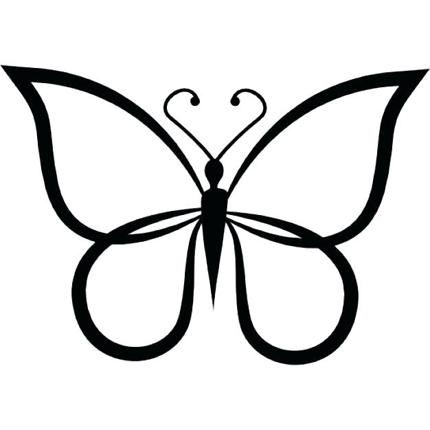 626x626 Outline Butterfly Butterfly Outline Or Silhouette Basic Shapes 2