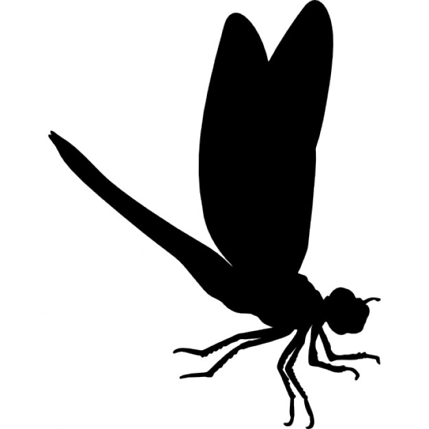 626x626 Shapes Clipart Insect