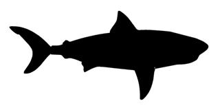 320x163 Shark Silhouette 3 Decal Sticker