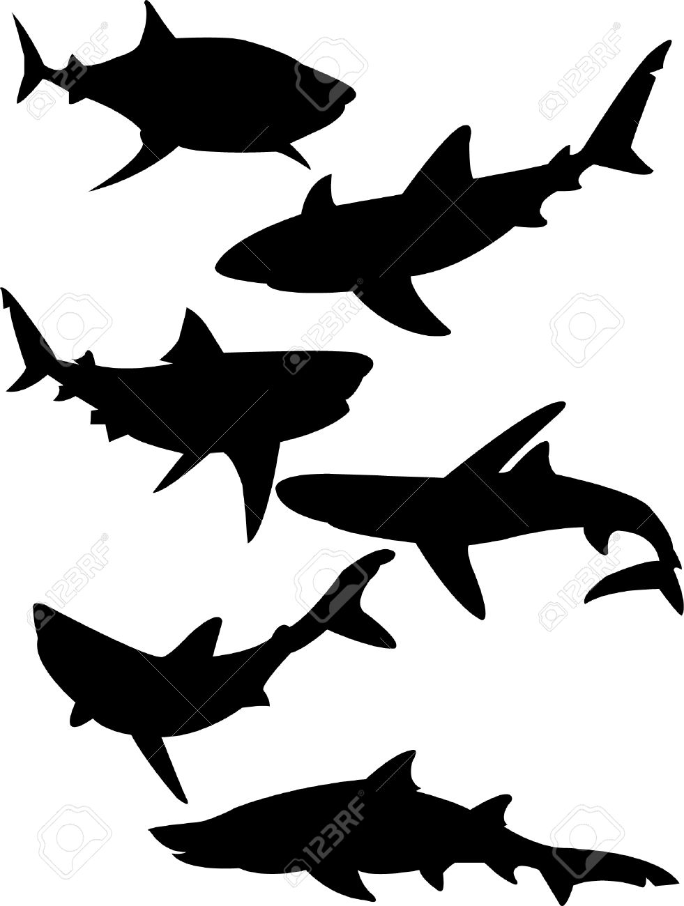 981x1300 Shark Clipart Shadow