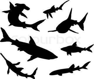 320x271 Shark Silhouette Tattoo The Shark Tattoo A Symbol Of Power