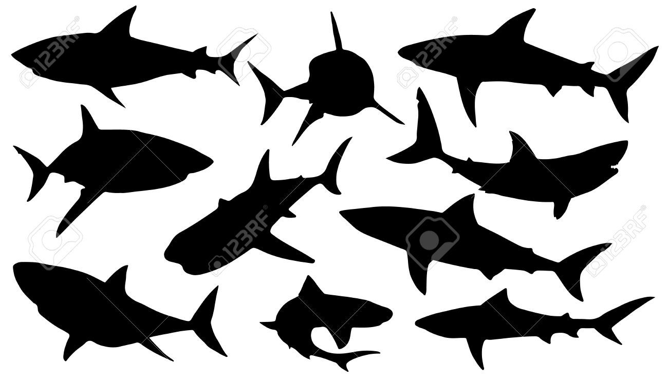 1300x742 Shark Silhouettes