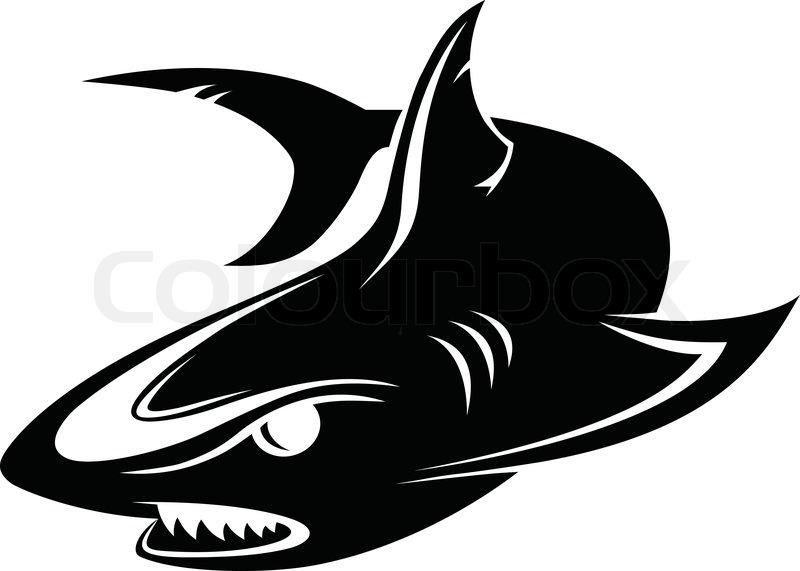 800x571 Vector Clipart Shark Many Interesting Cliparts