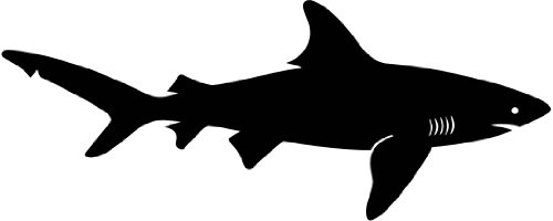 500x200 Shark Silhouette From Below Nature Silhouette Wall Decals