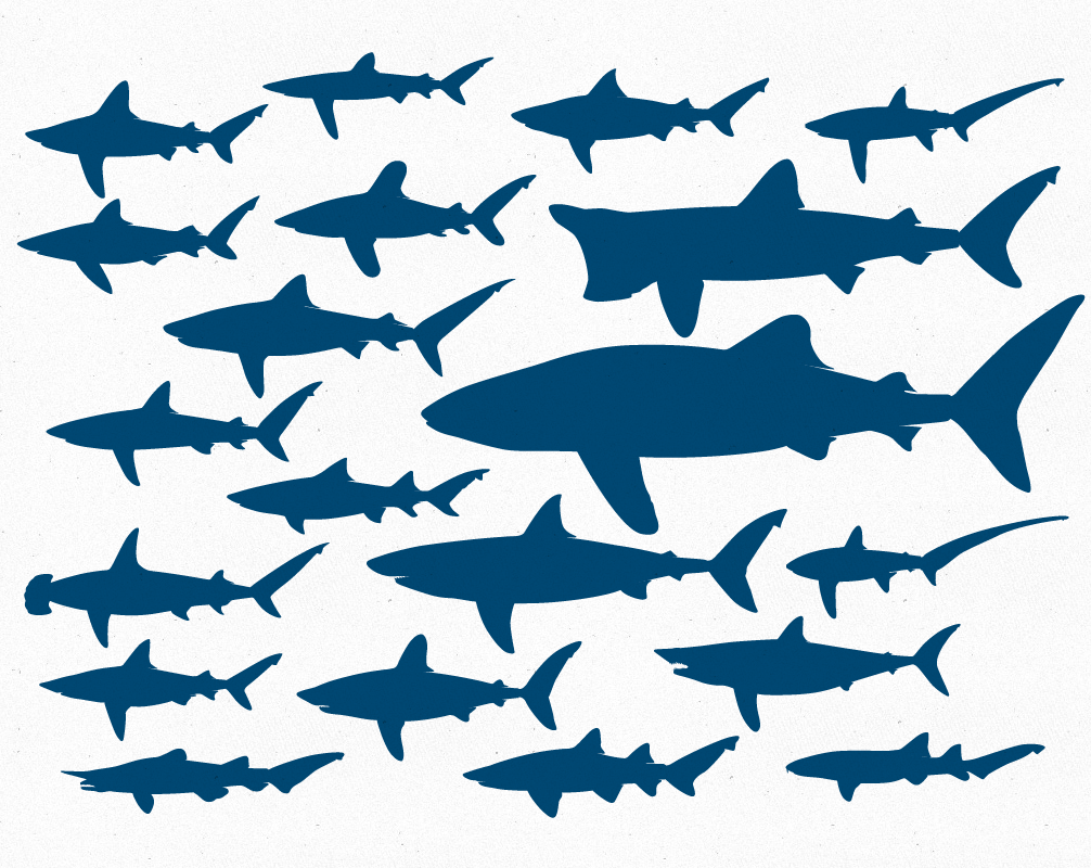1006x800 Free Vector File 20 Shark Silhouettes The Creative Portfolio